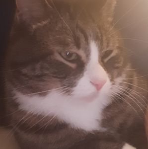 Meet your Posher, Theresa